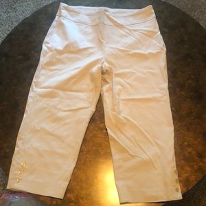 JM Collection Petite Khaki Pant